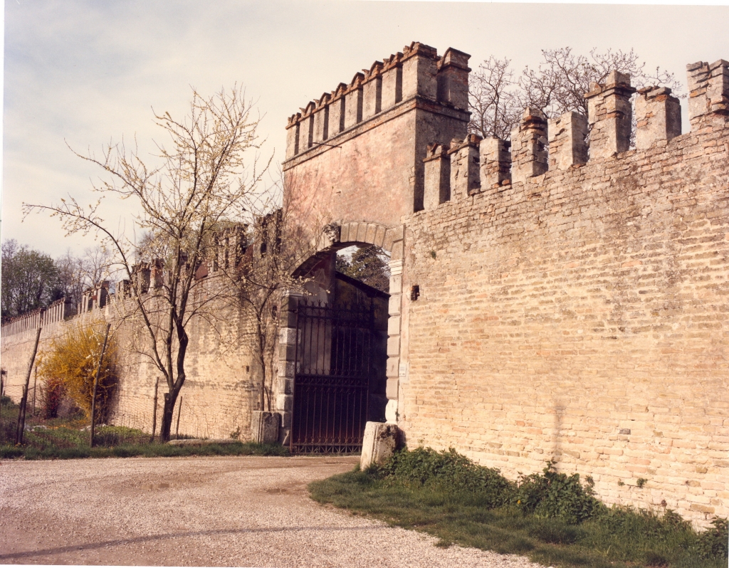 Vigo-4