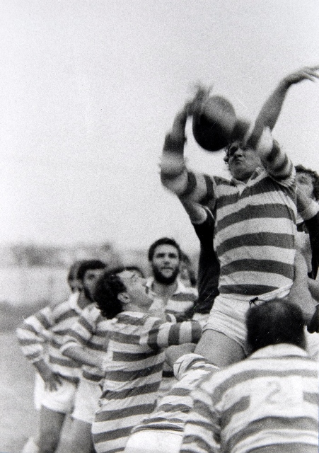 Rugby-14