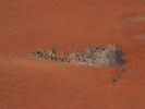 ISS-209