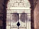 La Certosa di Vigodarzere