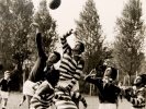 rugby-2