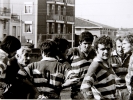 rugby-7