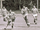 rugby-8